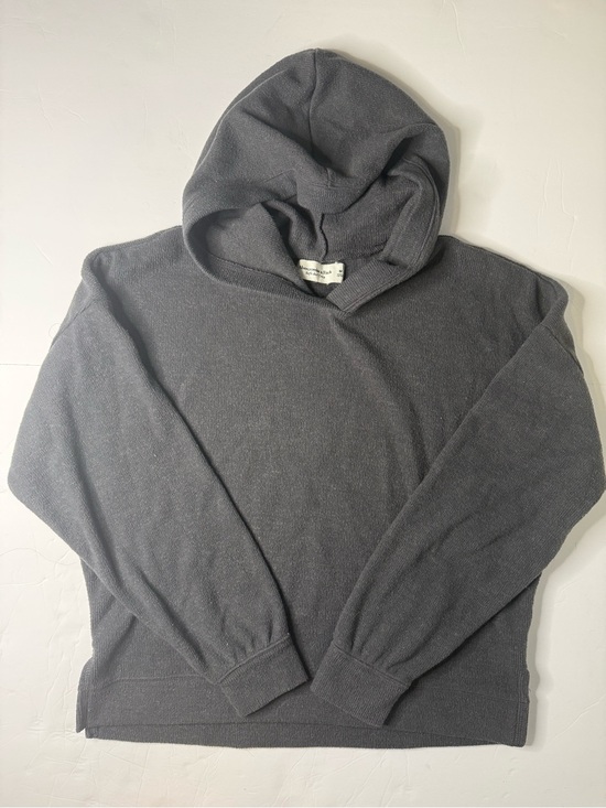 Abercrombie & Fitch Tops - Abercrombie & Fitch Gray Hooded Pullover Sweatshirt